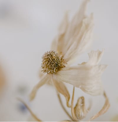 herbal-remedy_48